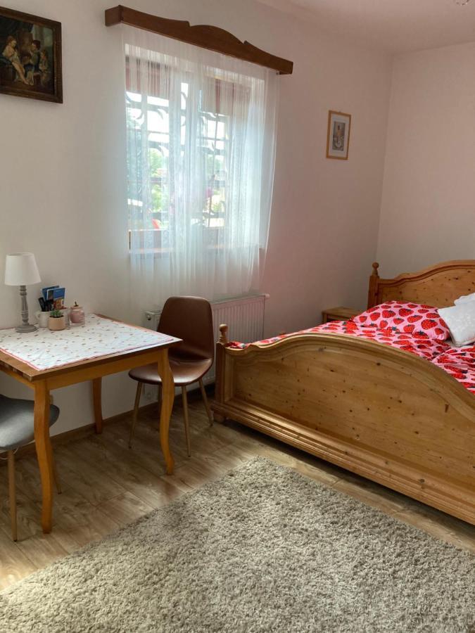 Penzion Hradecky Dvur Plzeň Buitenkant foto